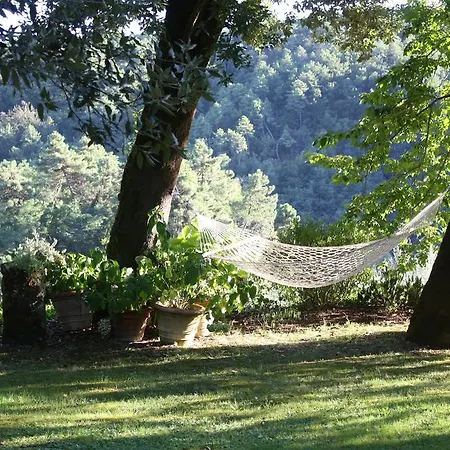 Benvenuti *